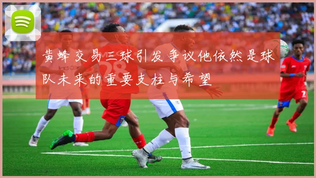 黄蜂交易三球引发争议他依然是球队未来的重要支柱与希望